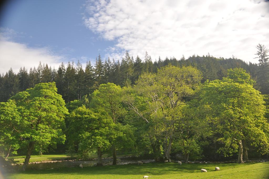 Dragon Bed&Breakfast Betws-y-Coed Exterior foto